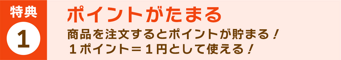 商品を注文するとポイントが貯まる！１ポイント＝１円として使える！