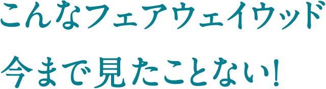 こんなフェアウェイウッド今まで見たことない！