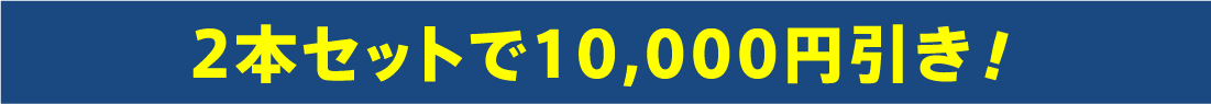 2本セットで10,000円引き！