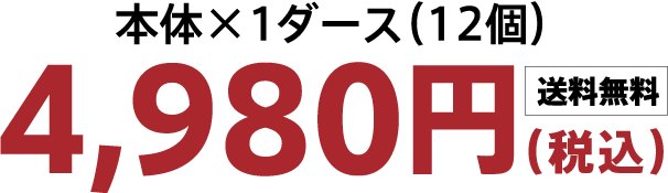 本体×1ダース（12個）4,980円（税込）送料無料