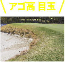 アゴ高 目玉