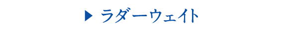 ラダーウェイト
