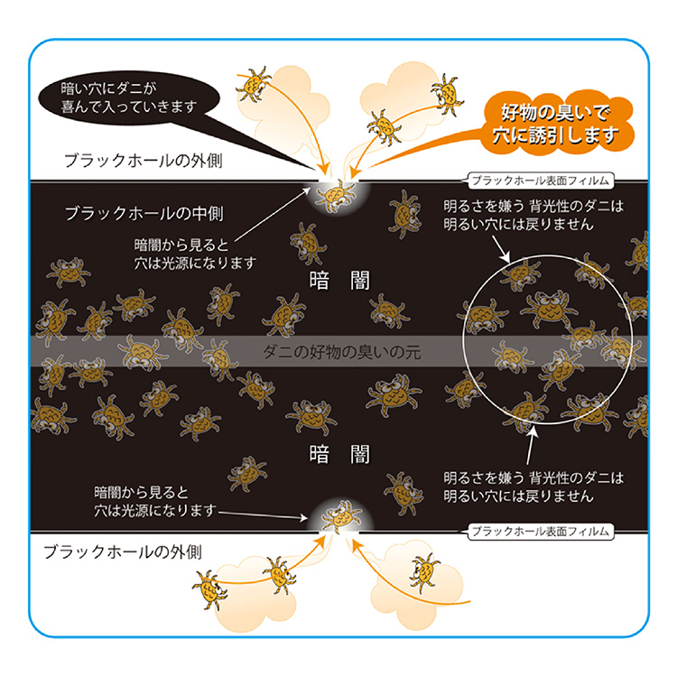 ダニ捕りパック ブラックホール テレ東マート