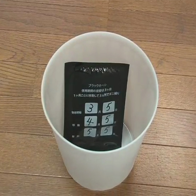 ダニ捕りパック ブラックホール テレ東マート