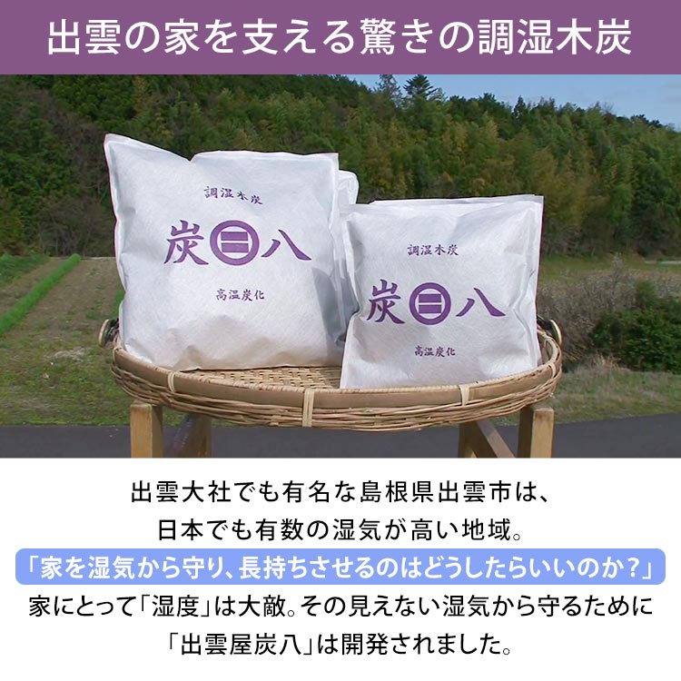 調湿木炭 出雲屋 炭八 ダブルセット テレ東マート 調湿木炭 出雲屋 炭八 ダブルセット テレ東マート