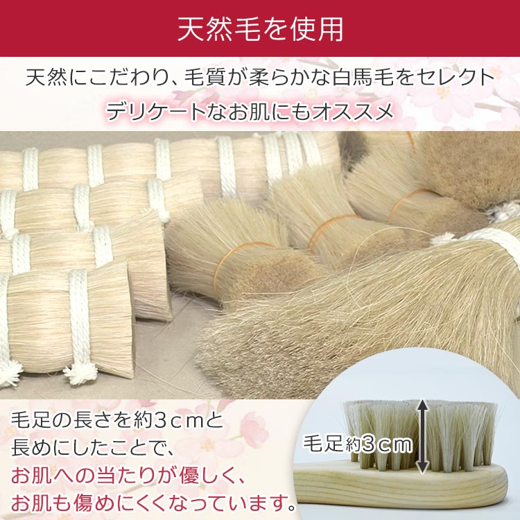 単品】浅草アートブラシ「ひのきのボディブラシ｣｜テレ東マート