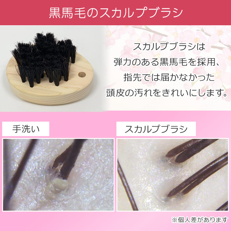 単品】浅草アートブラシ「黒馬毛のスカルプブラシ」｜テレ東マート
