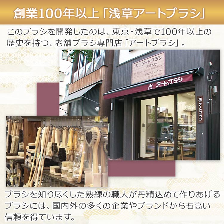 単品】かんたん毛玉とりブラシ「匠」｜テレ東マート