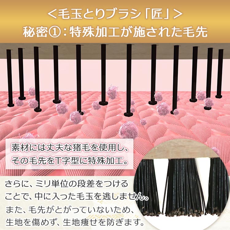 単品】かんたん毛玉とりブラシ「匠」｜テレ東マート