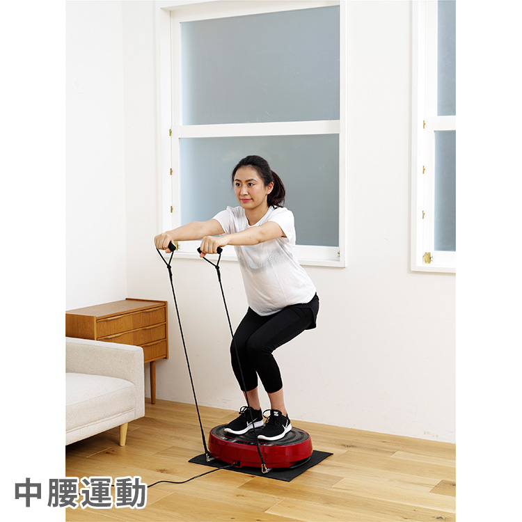 バランスウェーブミニ テレ東マート