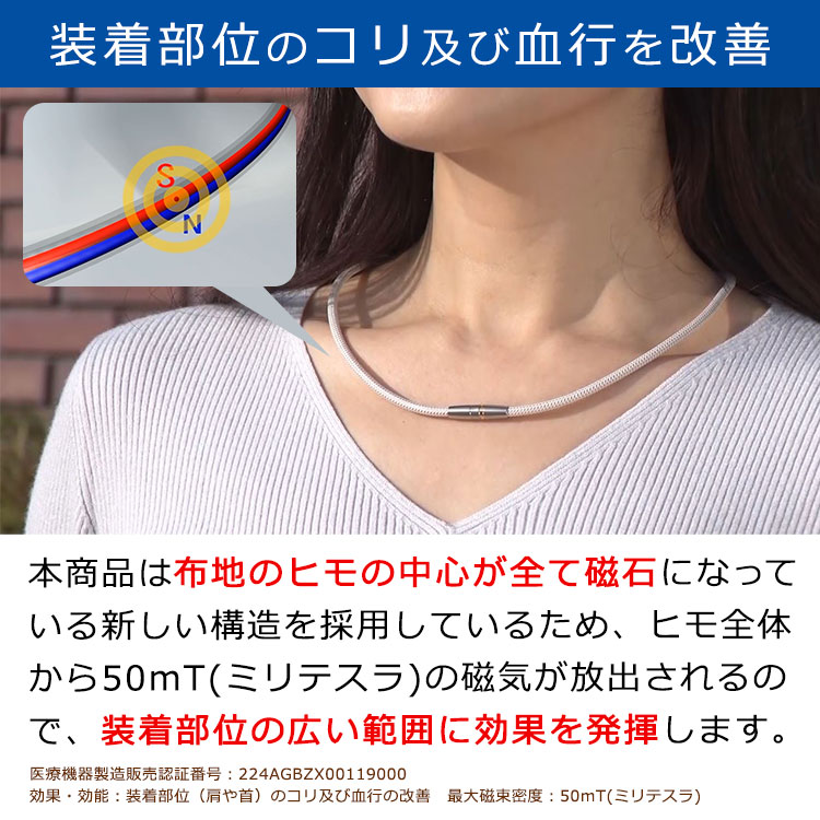 選べる2個セット ファイテン 磁気チタンネックレス テレ東マート