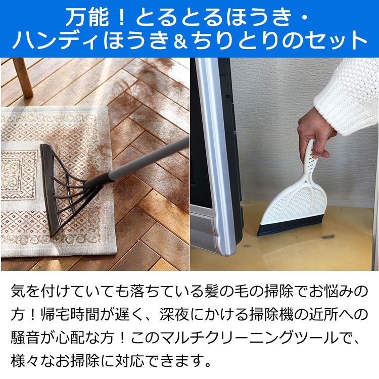 ダブルセット 万能 とるとるほうき テレ東マート