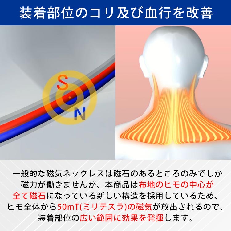 選べる2本セット】ファイテン 磁気チタンネックレス｜テレ東マート