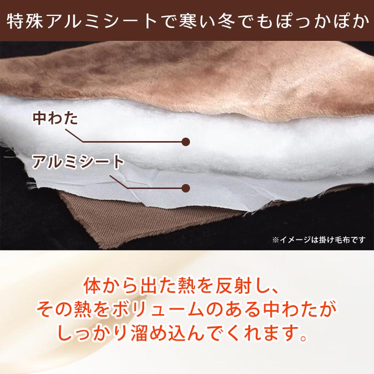 東京西川　きさらぎリーフ　スマートパッドタイプ きさらぎリーフ スマートパッドタイプを税込・送料込でお試し