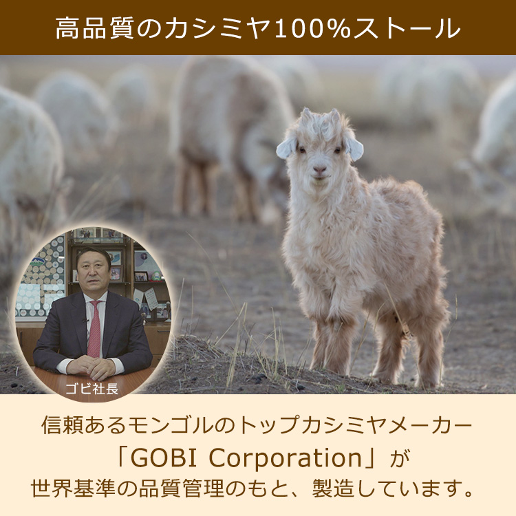 GOBIカシミヤ100％高級ストール特別セット｜テレ東マート
