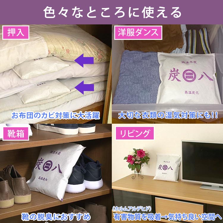 ミニ×2個セット】調湿木炭 出雲屋「炭八」｜テレ東マート