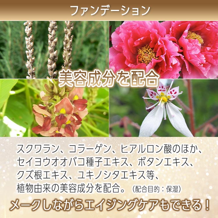 陽健遥ママページ ヴィワンアークス ファンデーション 3つセット 陽健遥ママページ ヴィワンアークス ファンデーション 3つセット