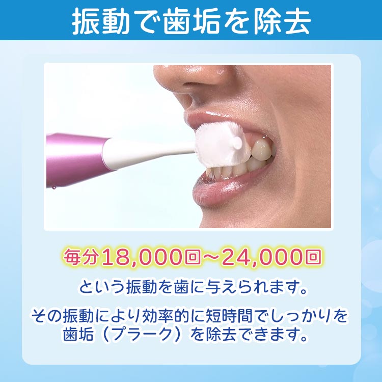 2本セット】電動歯ブラシぽぽたんツイスティ｜テレ東マート