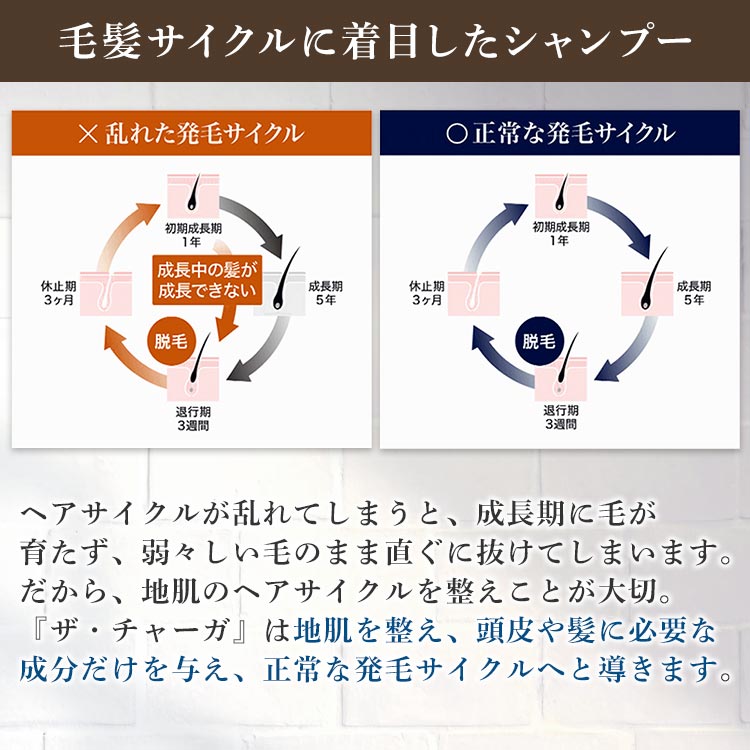 ザ・チャーガ 薬用スカルプシャンプー2本セット｜テレ東マート