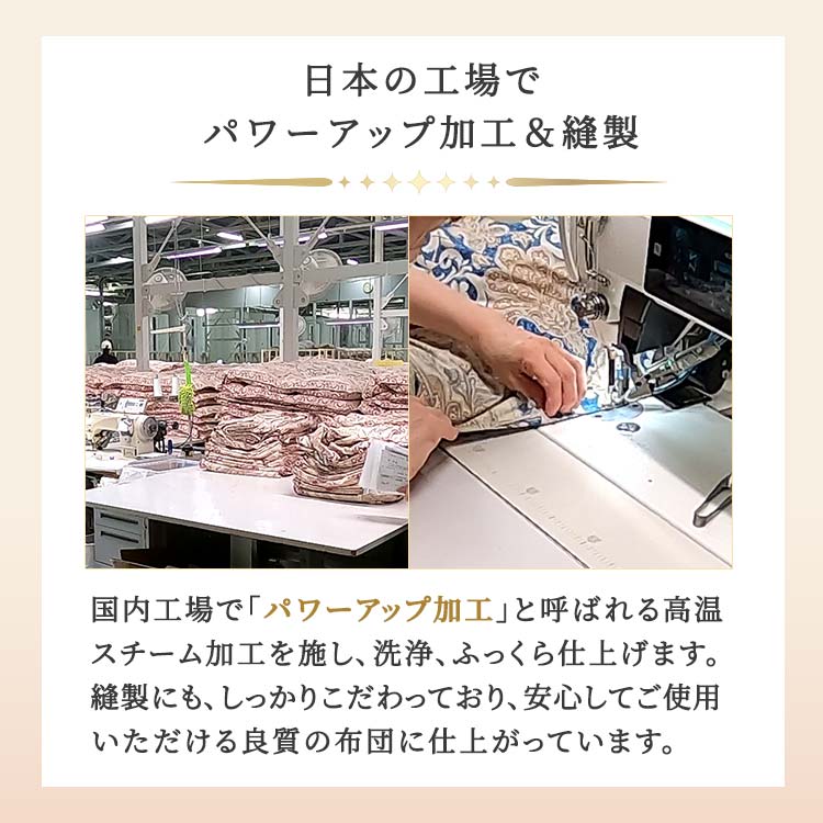 ポーランド産ホワイトマザーグース6つ星高級羽毛掛けふとんが