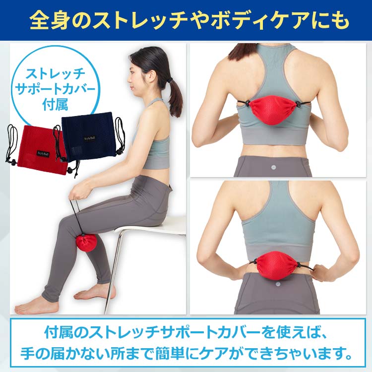 スタイリーボール未使用　内転筋を鍛える　TVショッピングで購入 期間限定販売】ルネサンス スタイリーボール｜テレ東マート