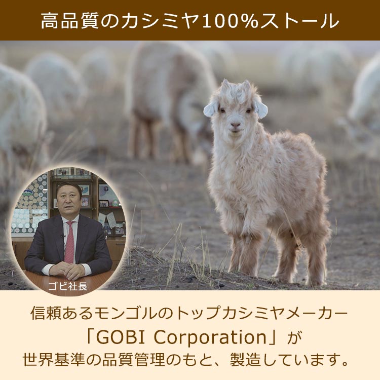 GOBIカシミヤ100％高級ストール｜テレ東マート