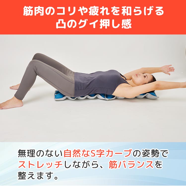 【送料無料/新品】 期間限定販売】ルネサンス キューフィッタープロ｜テレ東マート エクササイズグッズ
