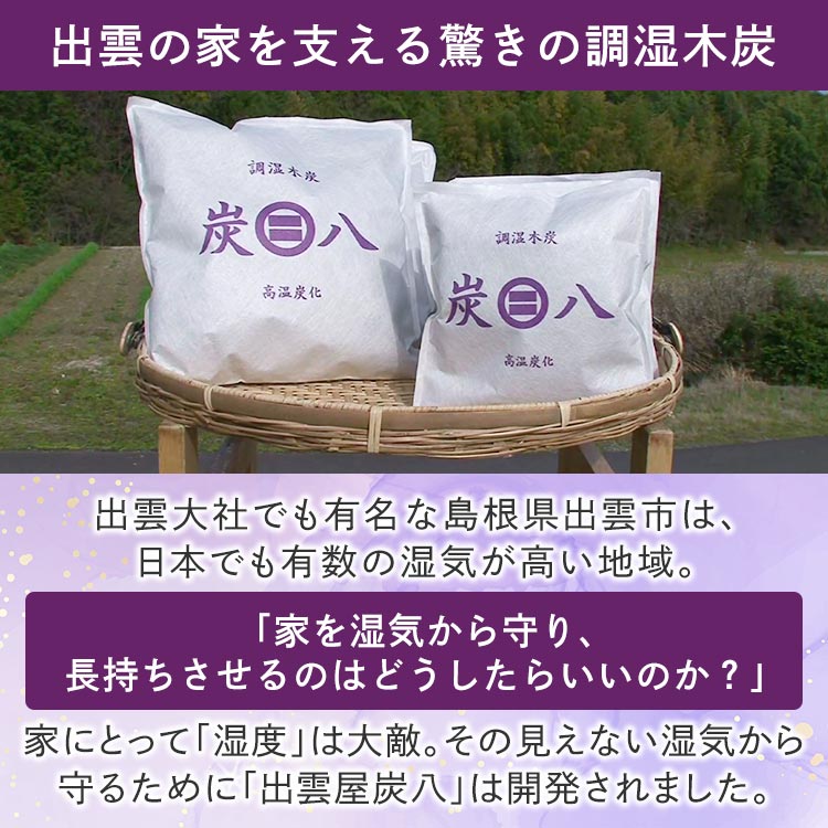 ミニ×2個セット】調湿木炭 出雲屋「炭八」｜テレ東マート
