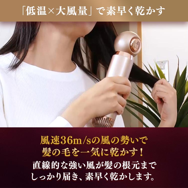 リカバリーエアープラス｜テレ東マート