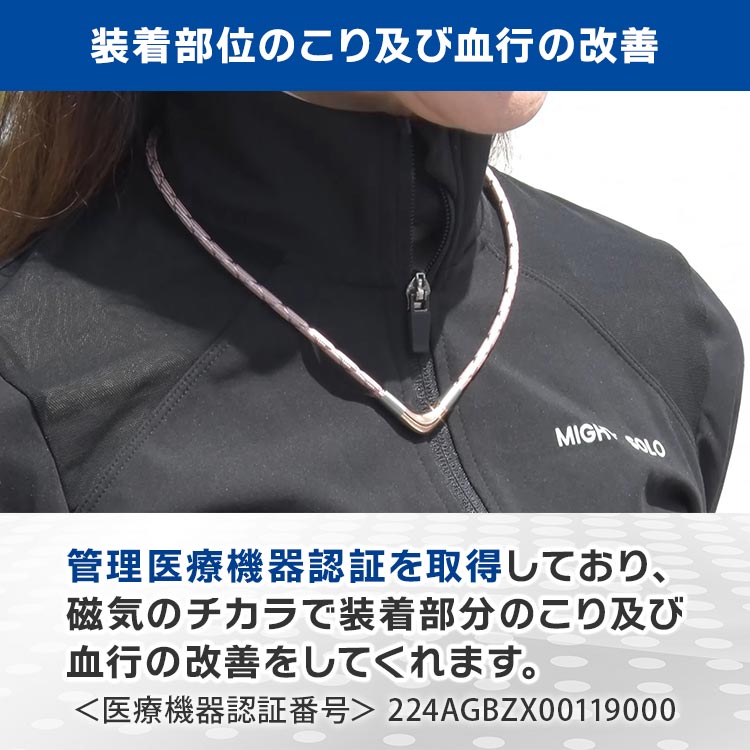 単品】ファイテン磁気治療ネックレス プレミアム｜テレ東マート