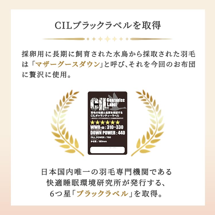 シングル】ポーランド産マザーグース6つ星羽毛掛け布団｜テレ東マート