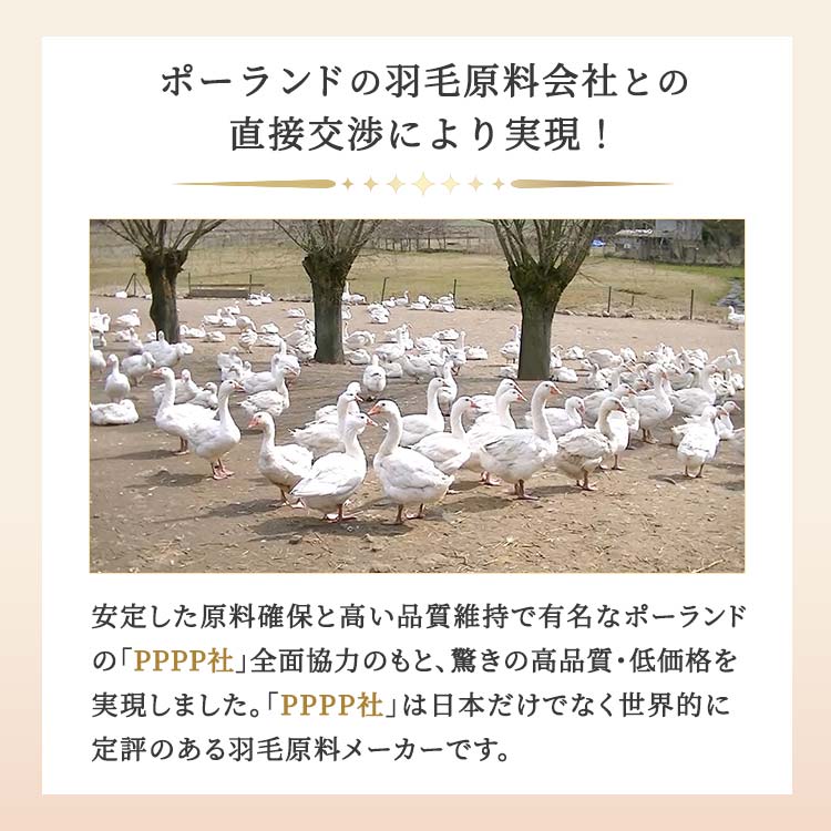 ダブル】ポーランド産マザーグース6つ星羽毛掛け布団|テレ東マート ダブル】ポーランド産マザーグース6つ星羽毛掛け布団|テレ東マート