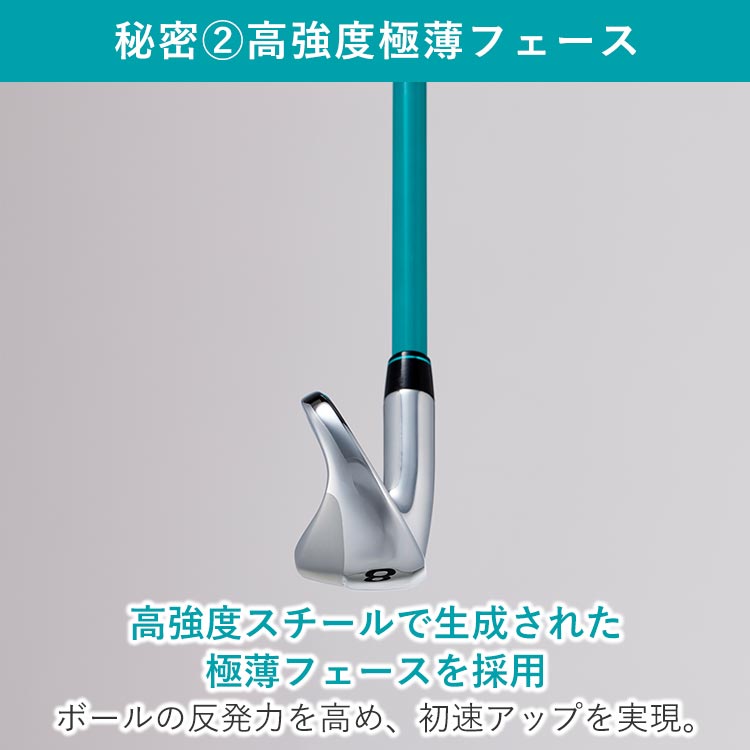 値下げしました！！シュールでレトロな　アジアン風アイアンです 期間限定値下げ】DANGAN7 MAXアイアン 6本セット｜テレ東マート