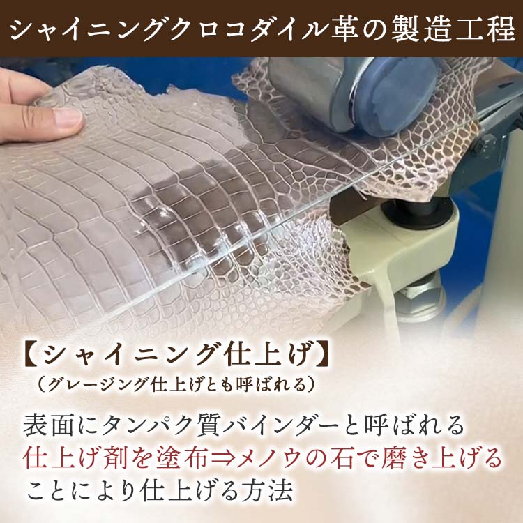 シャイニングクロコダイル折財布｜テレ東マート