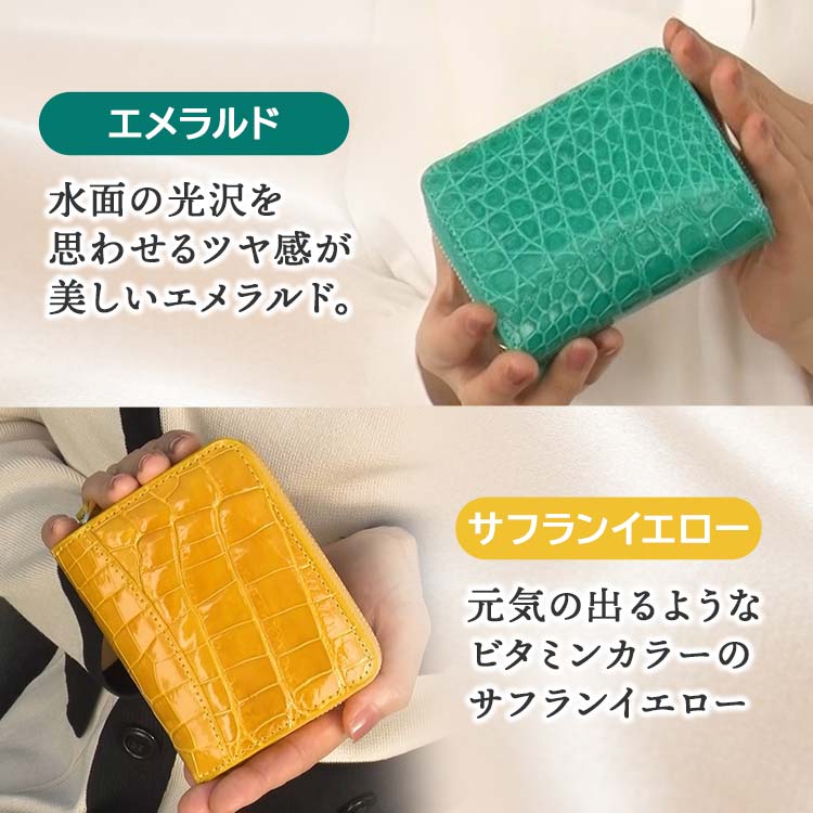 シャイニングクロコダイル折財布｜テレ東マート