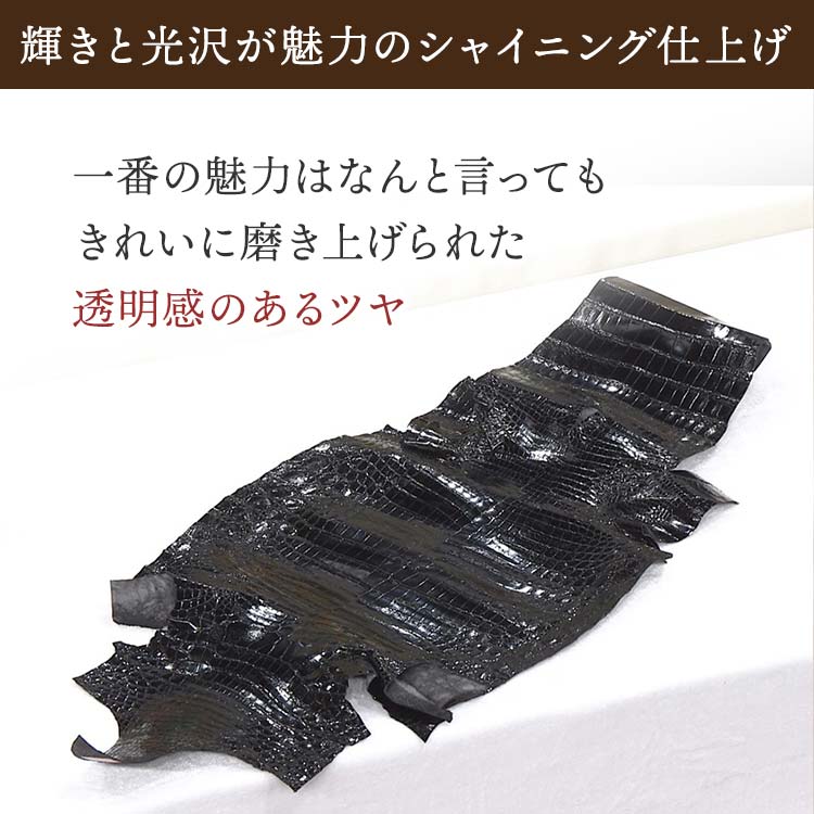 シャイニングクロコダイル長財布｜テレ東マート