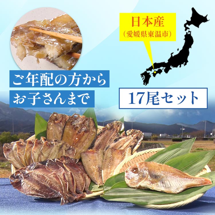骨まで食べられる干物「まるとっと」