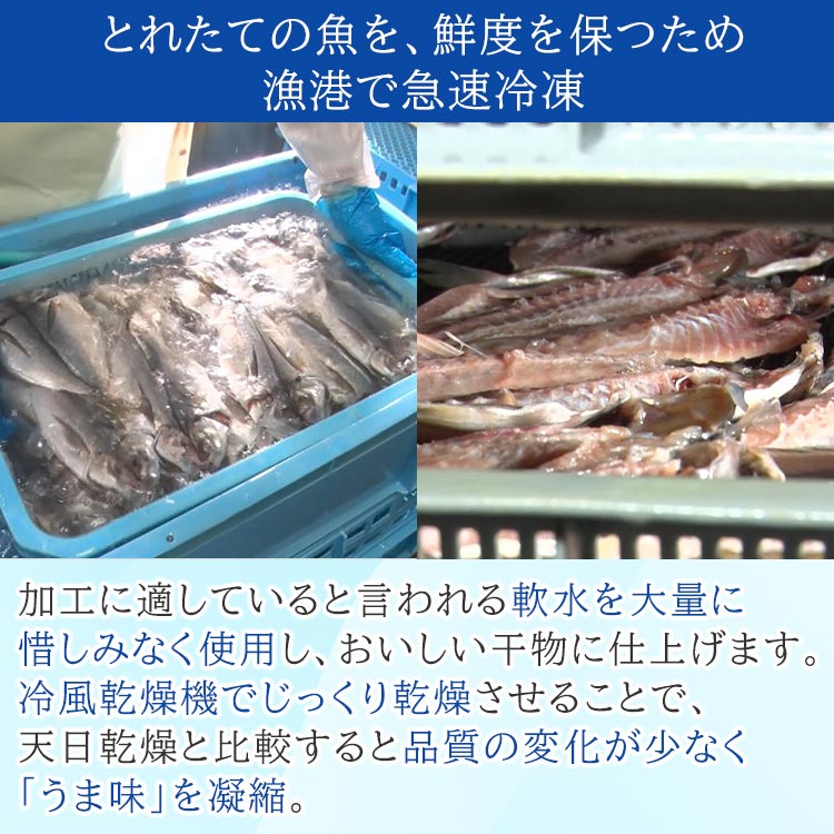 骨まで食べられる干物「まるとっと」｜テレ東マート