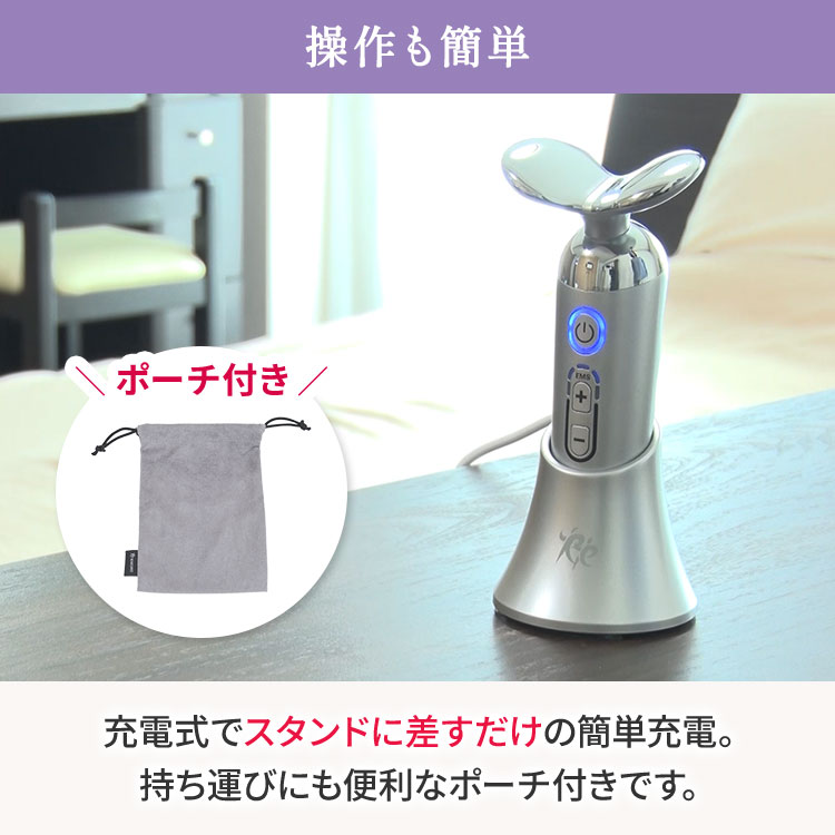 期間限定販売】ルネサンス スタイリーフェイス｜テレ東マート