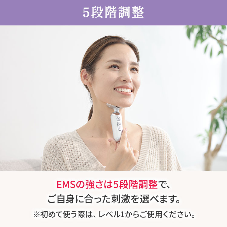 期間限定販売】ルネサンス スタイリーフェイス｜テレ東マート