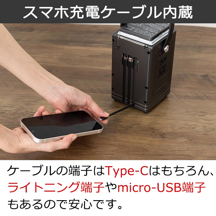 ポータブル電源エネポルタ+3＆ソーラーパネル特別セット｜テレ東マート