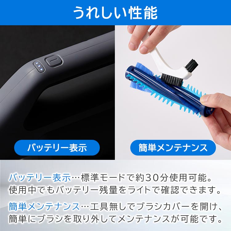 使い捨てフィルター45枚付き】レイコップ コードレス UVふとん
