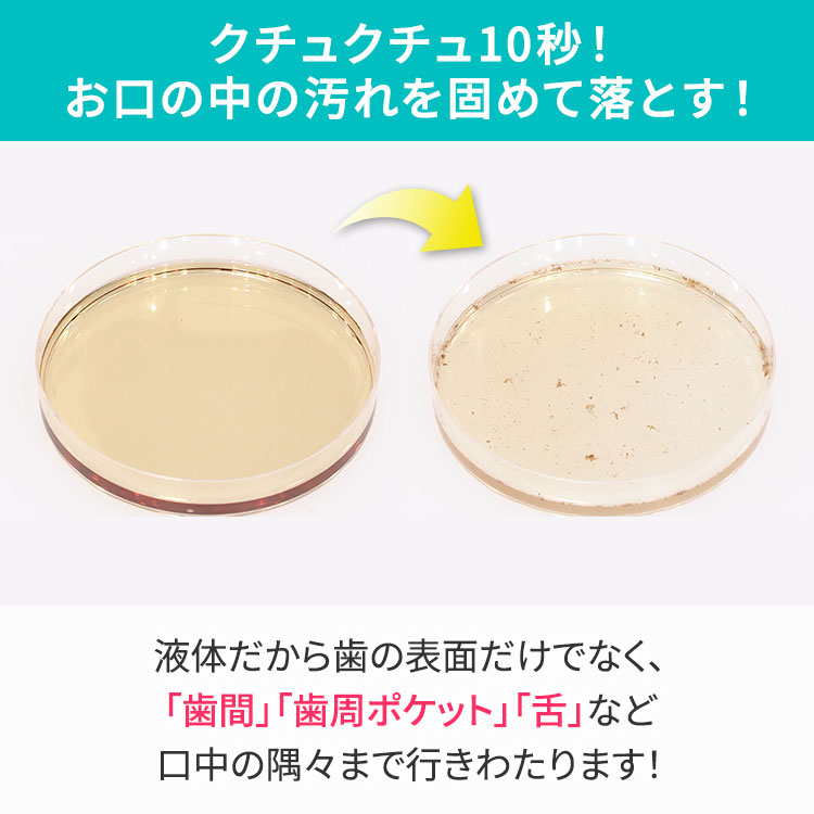 4本セット】納得！デンタルワン プラス｜テレ東マート