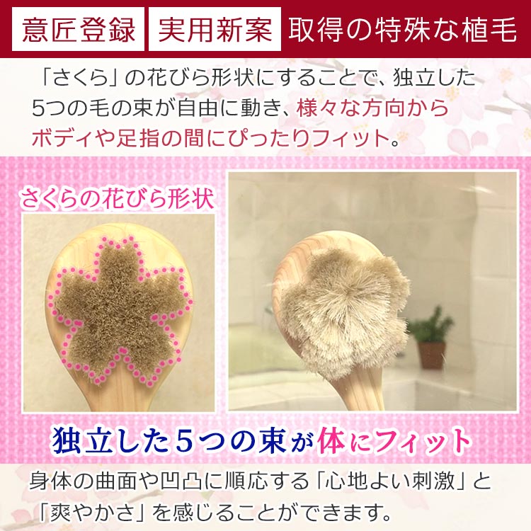 【特典付き】浅草アートブラシ「ひのきのﾎﾞﾃﾞｨﾌﾞﾗｼ」特別ｾｯﾄ