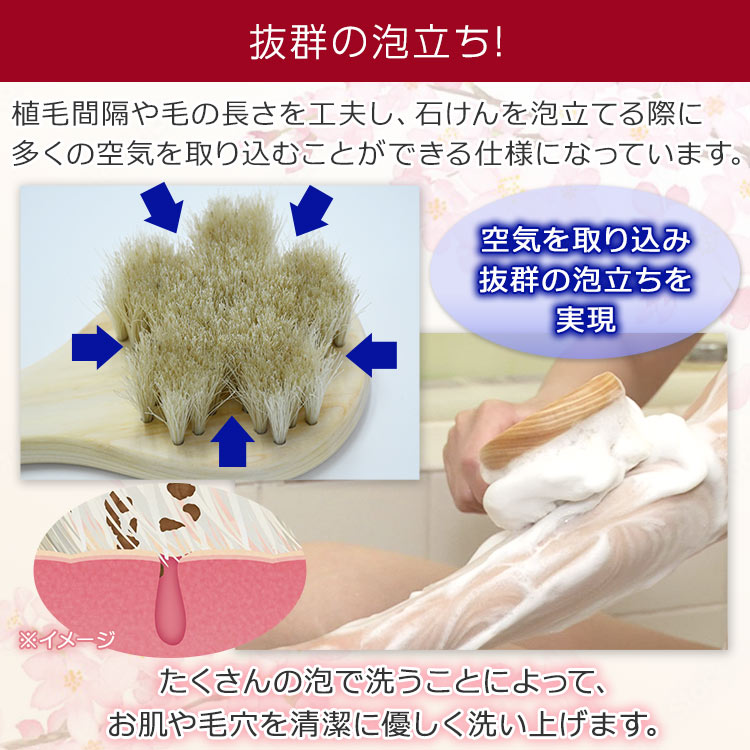 【特典付き】浅草アートブラシ「ひのきのﾎﾞﾃﾞｨﾌﾞﾗｼ」特別ｾｯﾄ