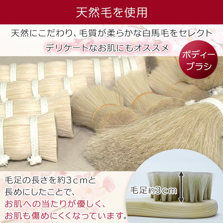 【特典付き】浅草アートブラシ「ひのきのﾎﾞﾃﾞｨﾌﾞﾗｼ」特別ｾｯﾄ