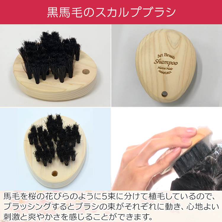 【特典付き】浅草アートブラシ「ひのきのﾎﾞﾃﾞｨﾌﾞﾗｼ」特別ｾｯﾄ