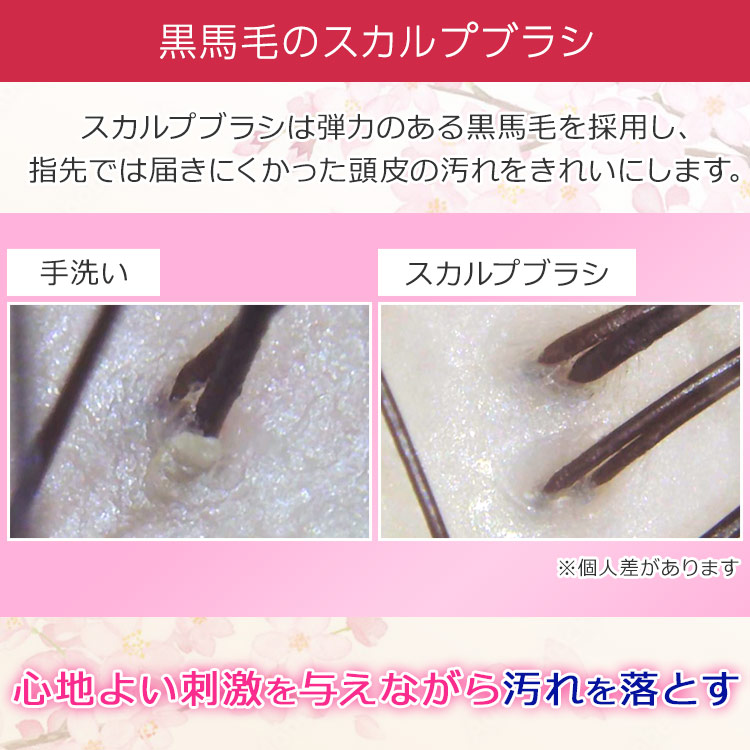 【特典付き】浅草アートブラシ「ひのきのﾎﾞﾃﾞｨﾌﾞﾗｼ」特別ｾｯﾄ