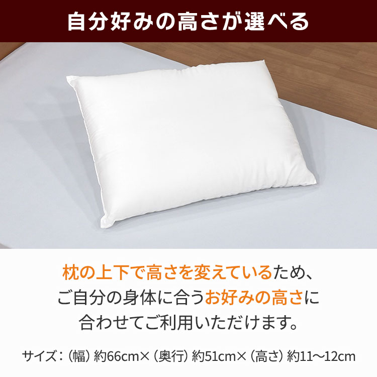 2個セット】NEWボディチューニングピロー エアトラスPro｜テレ東マート