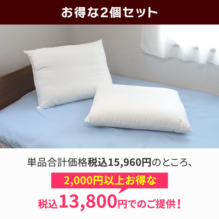 2個セット】NEWボディチューニングピロー エアトラスPro｜テレ東マート